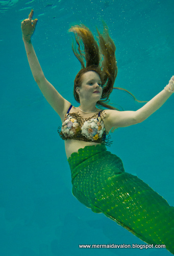 Name:  Mer1.jpg
Views: 1141
Size:  120.1 KB