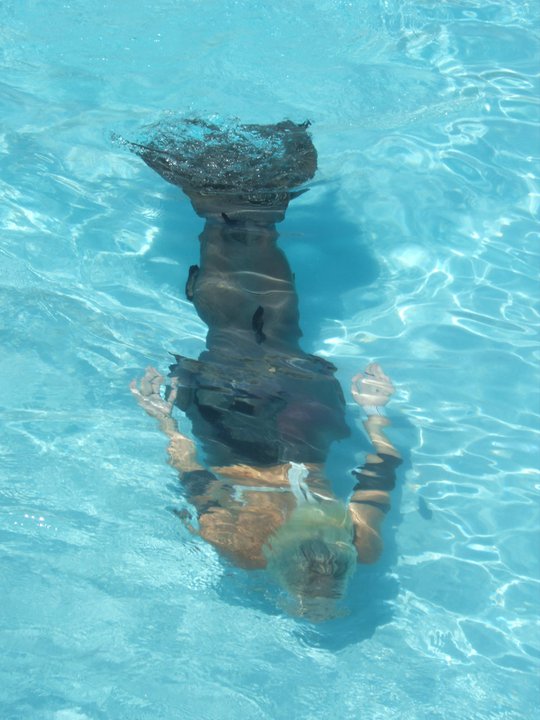 Name:  shark tail top view.jpg
Views: 449
Size:  73.8 KB