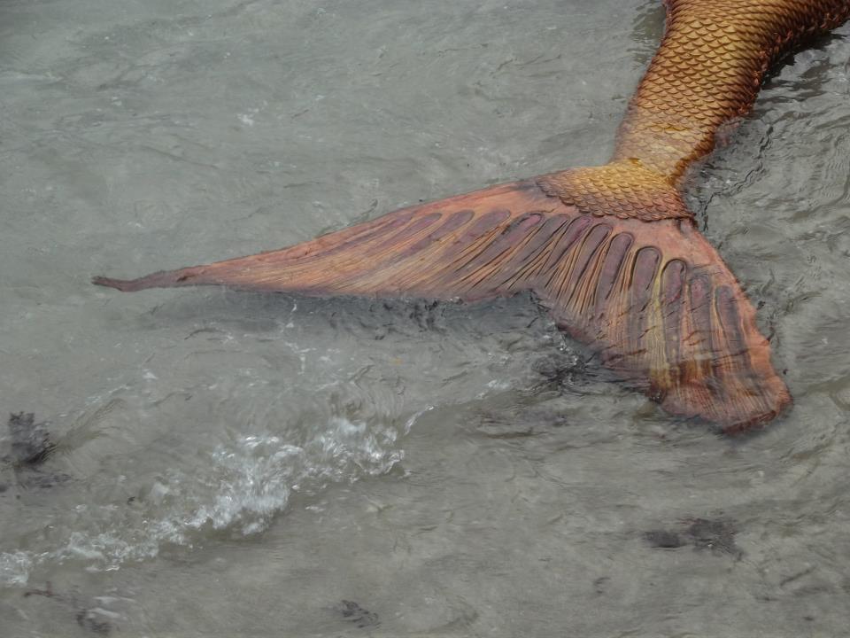 Name:  537856_352344668199087_142011366_n.jpg
Views: 1218
Size:  78.8 KB