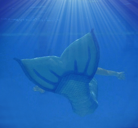 Name:  HALO mermaid.jpg
Views: 1060
Size:  187.5 KB