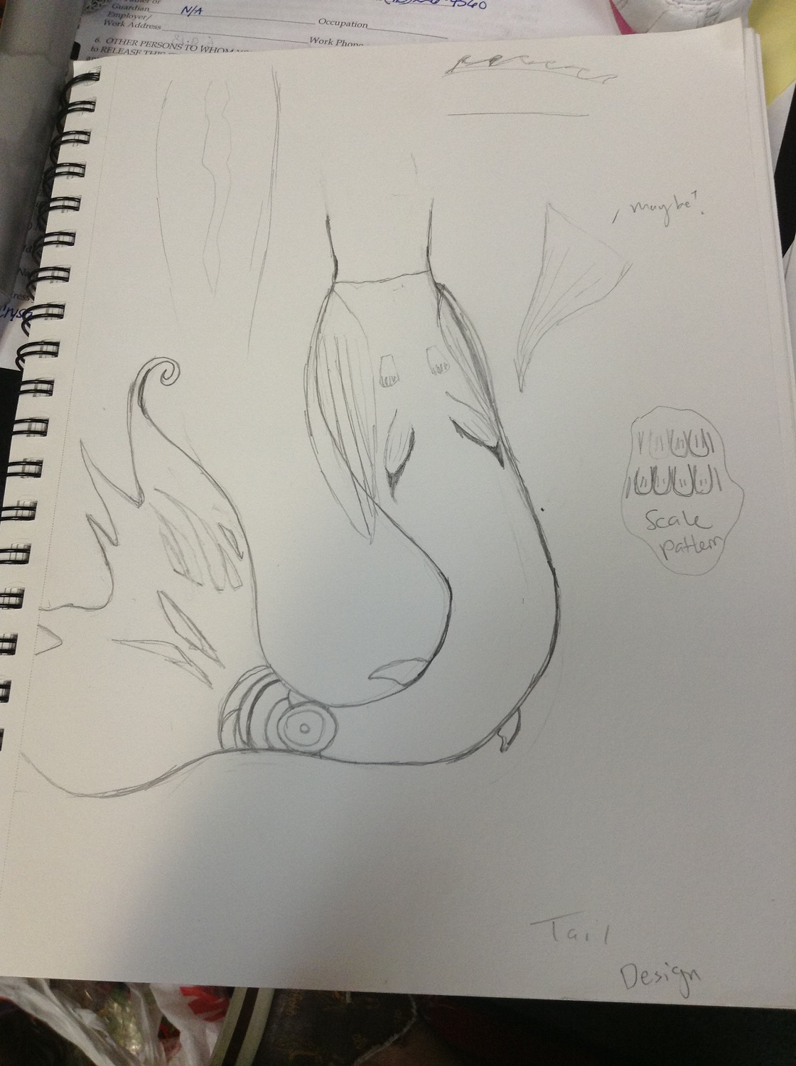 Name:  photo (1).JPG
Views: 372
Size:  399.8 KB