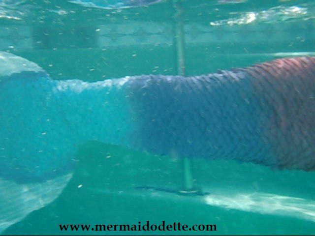 Name:  CIMG3978 002_0001.jpg
Views: 143
Size:  54.0 KB