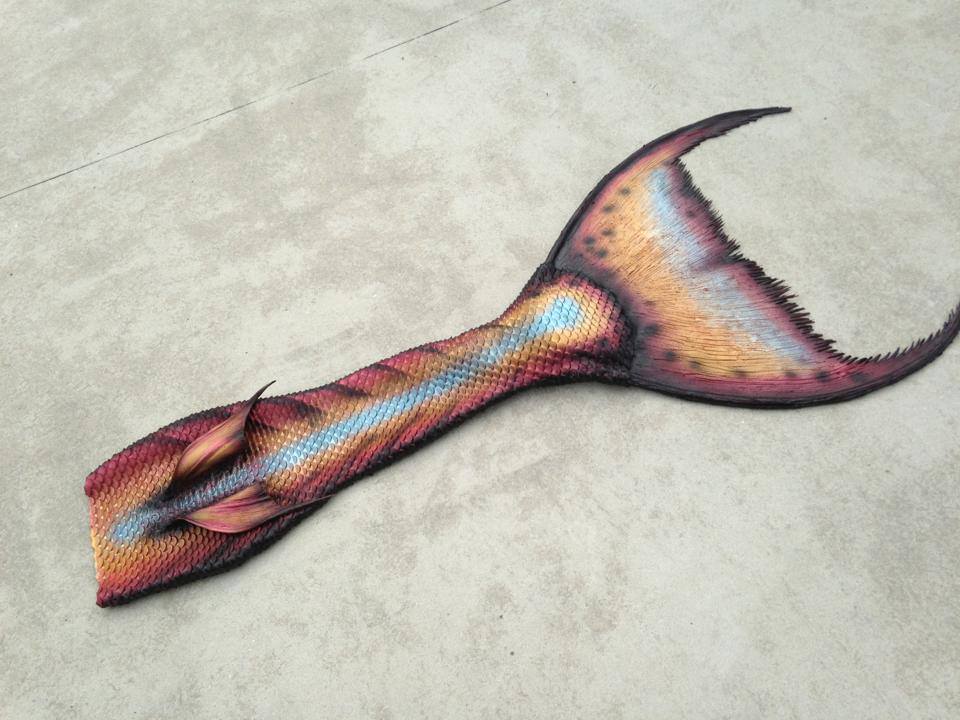 Name:  tail.jpg
Views: 1211
Size:  86.1 KB