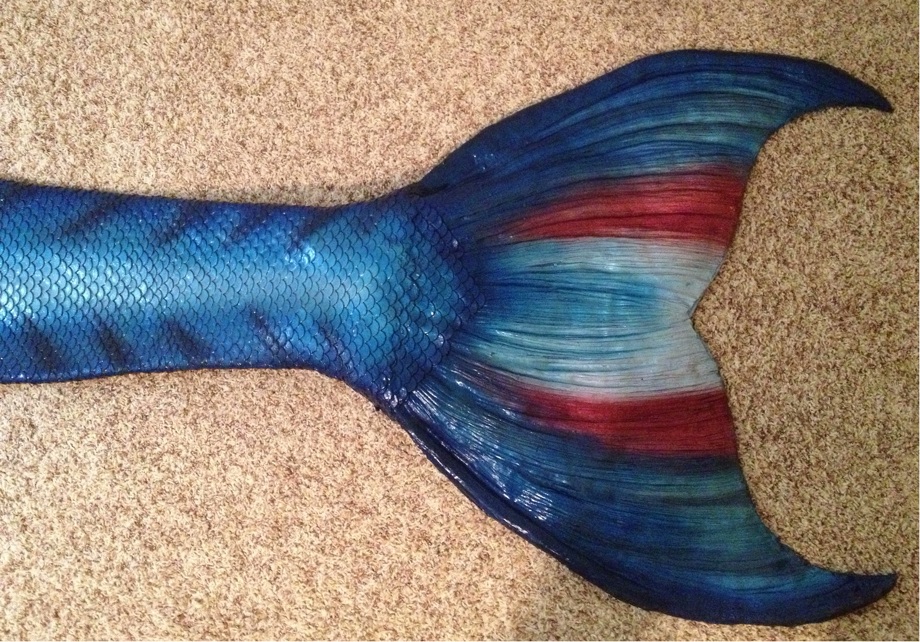 Name:  tail1a.jpg
Views: 493
Size:  325.8 KB