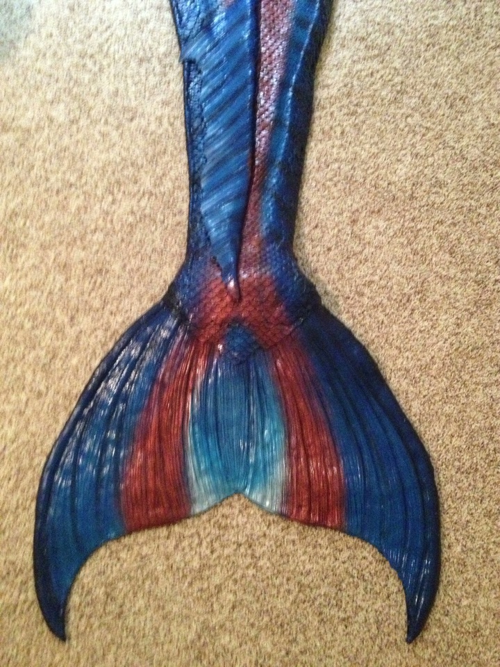 Name:  tail2a.jpg
Views: 427
Size:  325.9 KB