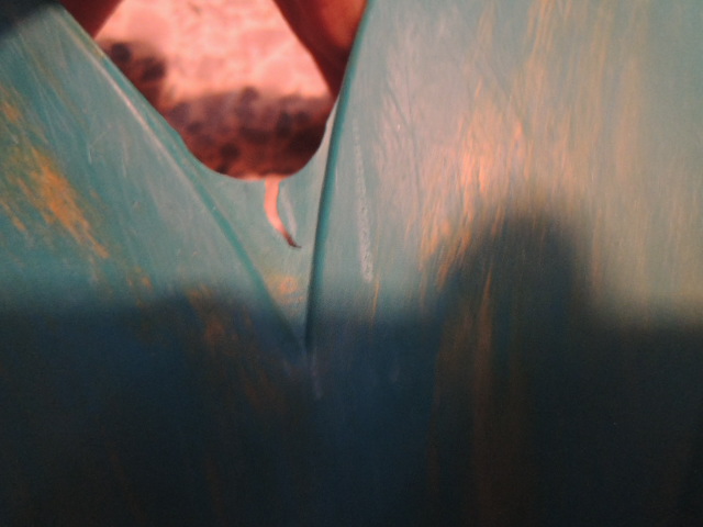 Name:  DSCN2741.JPG
Views: 361
Size:  74.5 KB