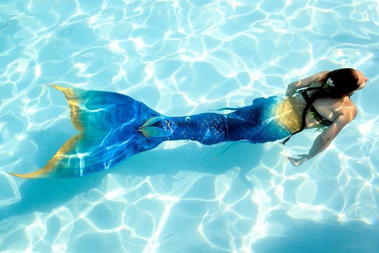 Name:  mermaid resized 2.jpg
Views: 1092
Size:  157.8 KB
