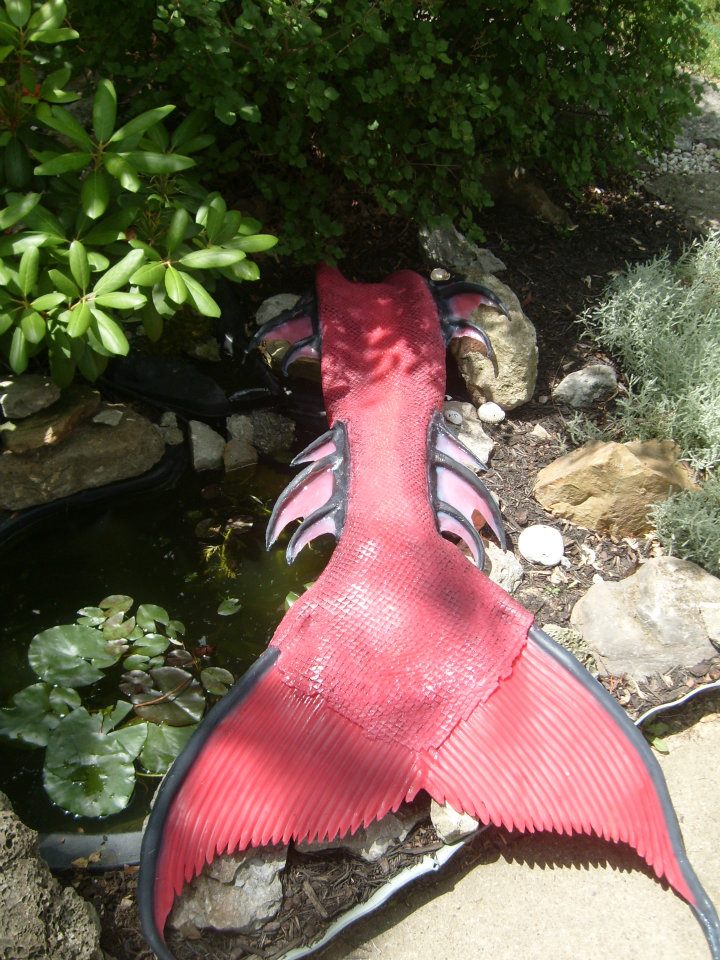 Name:  534067_379563325433650_2074990169_n.jpg
Views: 1089
Size:  159.8 KB