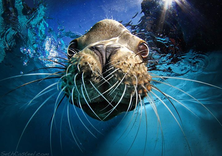 Name:  539816_10152755083940472_77226938_n.jpg
Views: 522
Size:  74.9 KB