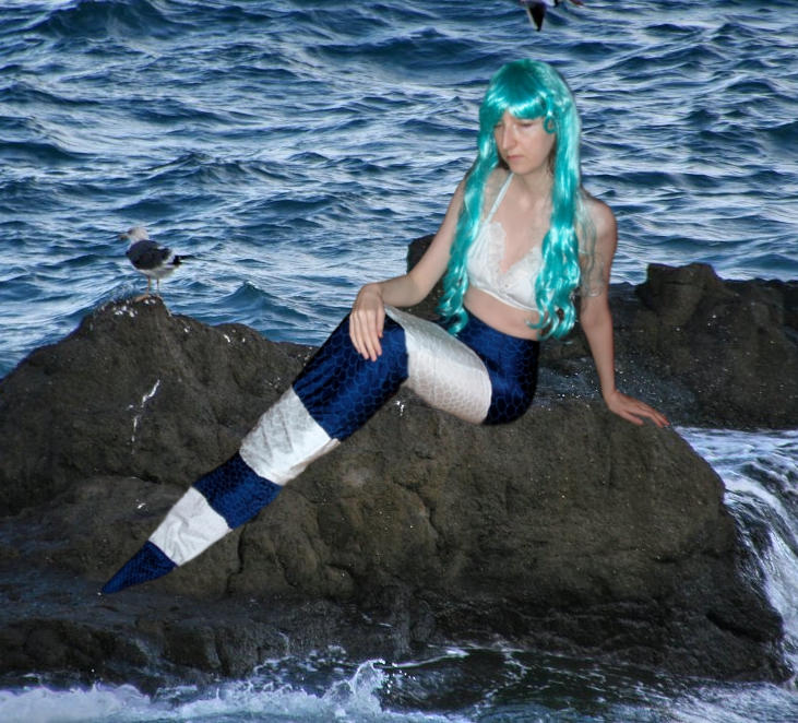 Name:  krait海石小.jpg
Views: 1036
Size:  388.9 KB