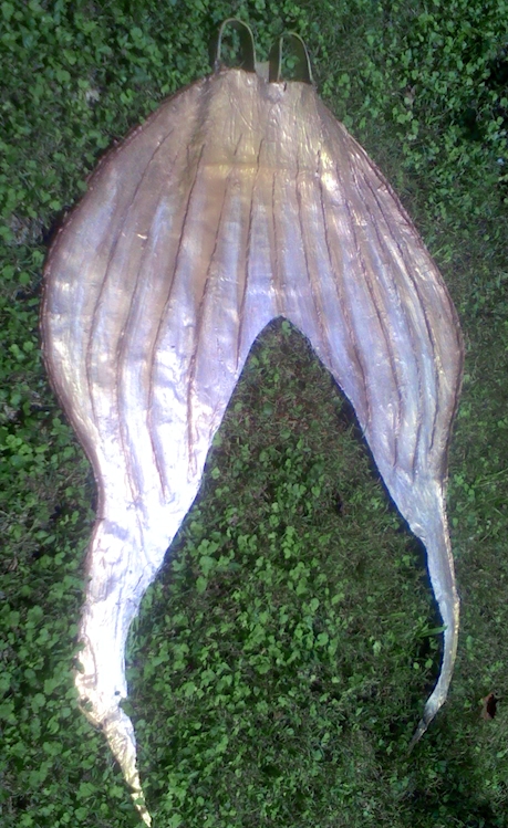 Name:  repaint.jpg
Views: 207
Size:  335.4 KB