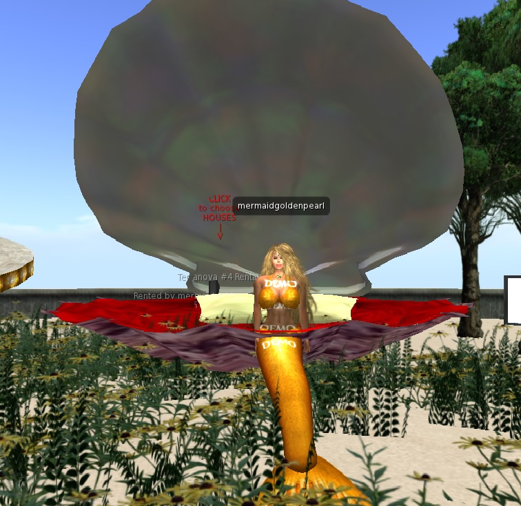 Name:  h20 tail on shell bed.jpg
Views: 156
Size:  178.7 KB