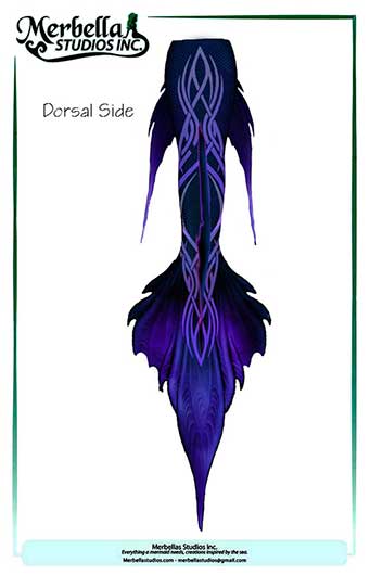 Name:  Mariner-Tail-Dorsal.jpg
Views: 1710
Size:  17.1 KB