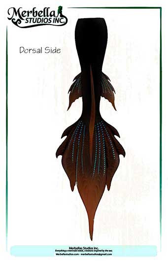 Name:  Mermaid-Tail-Dorsal.jpg
Views: 1619
Size:  17.1 KB
