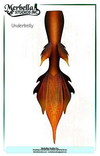 Name:  Mermaid-Tail-Underbelly.jpg
Views: 4277
Size:  18.9 KB