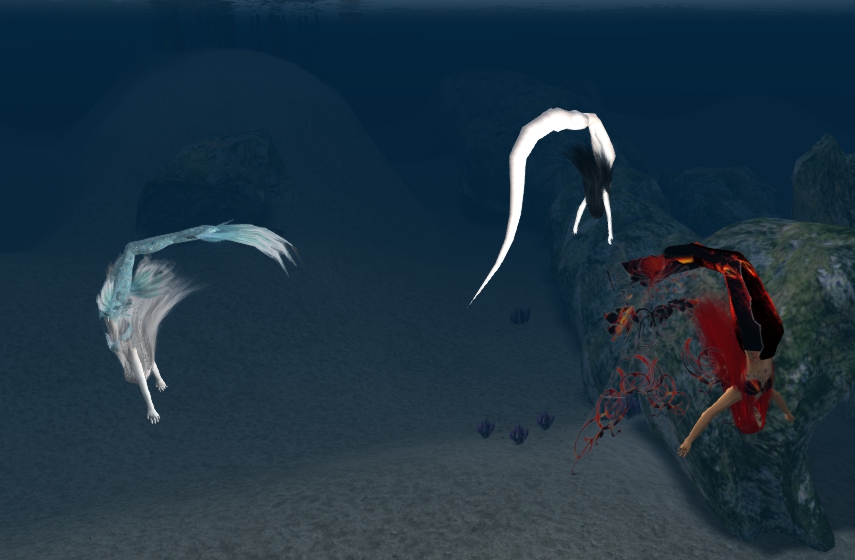 Name:  merballet2.jpg
Views: 226
Size:  216.5 KB
