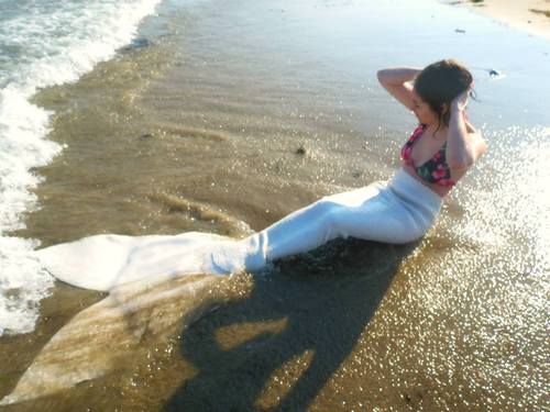 Name:  tumblr_msb96ai9c71s4sgsdo2_500.jpg
Views: 808
Size:  34.7 KB