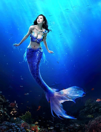 Name:  mermaid.gif
Views: 355
Size:  86.3 KB