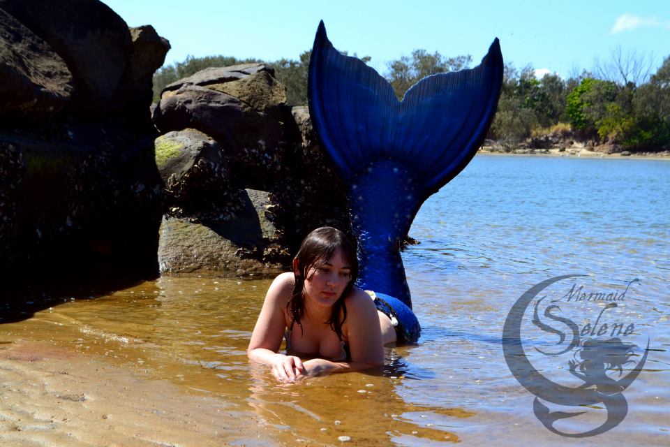 Name:  1185258_409712485800238_434192323_n.jpg
Views: 448
Size:  97.0 KB