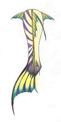Name:  Tail Drawing (Colored).jpg
Views: 2868
Size:  19.5 KB