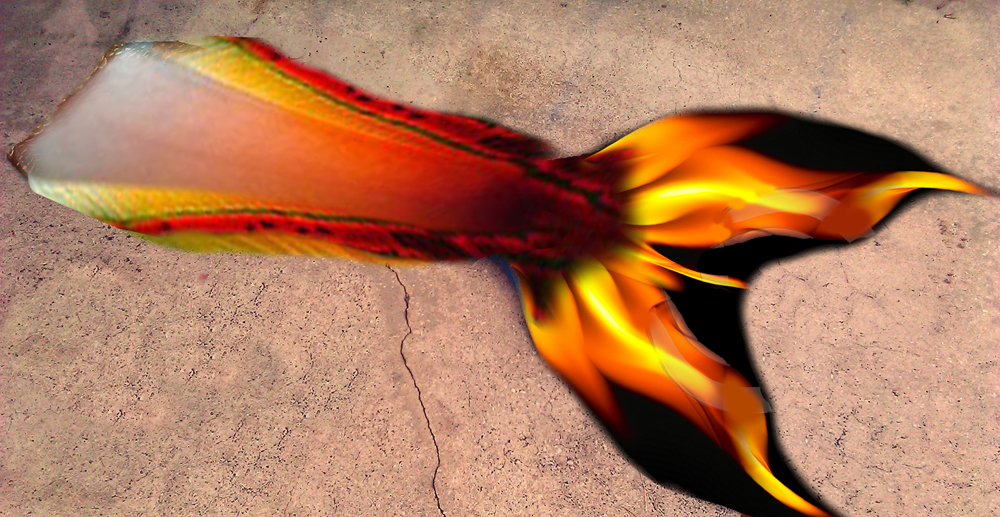 Name:  flame tale.jpg
Views: 1339
Size:  526.3 KB