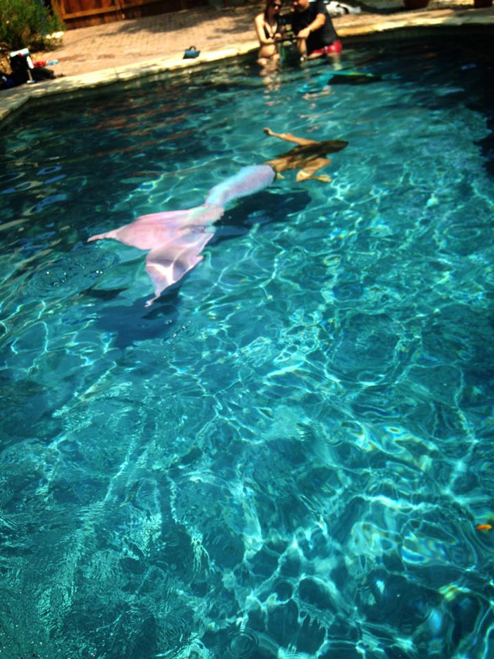 Name:  swim.jpg
Views: 849
Size:  117.6 KB