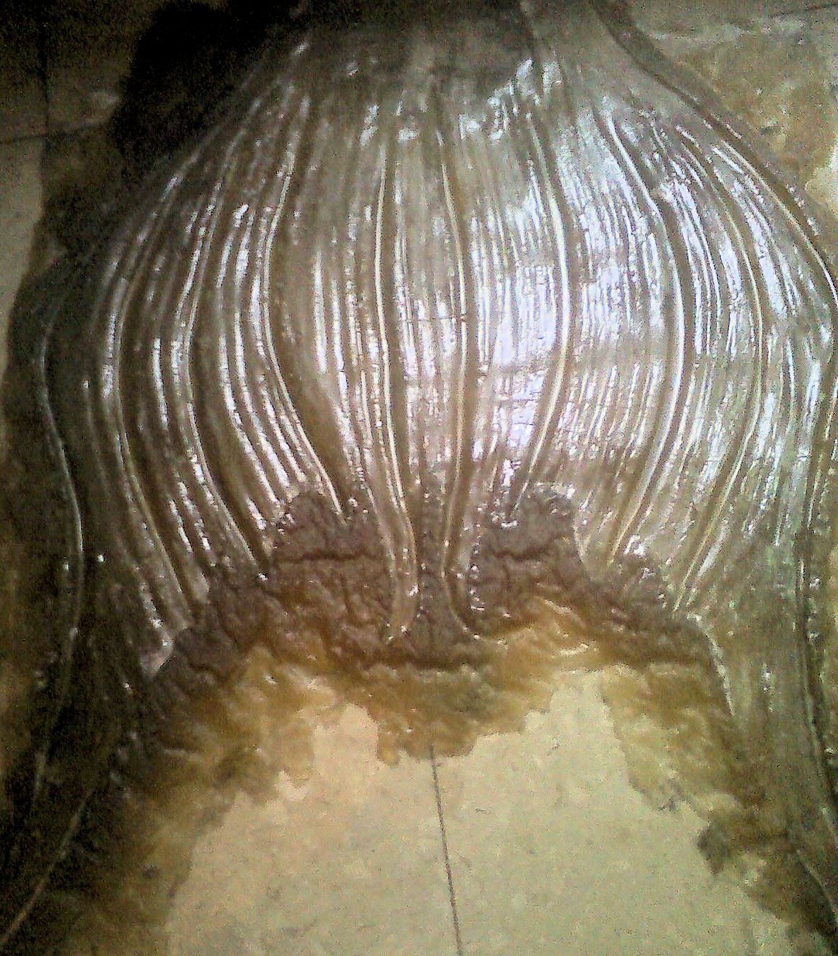 Name:  fiberglass mold of merdiva basic fluke.jpg
Views: 536
Size:  381.7 KB