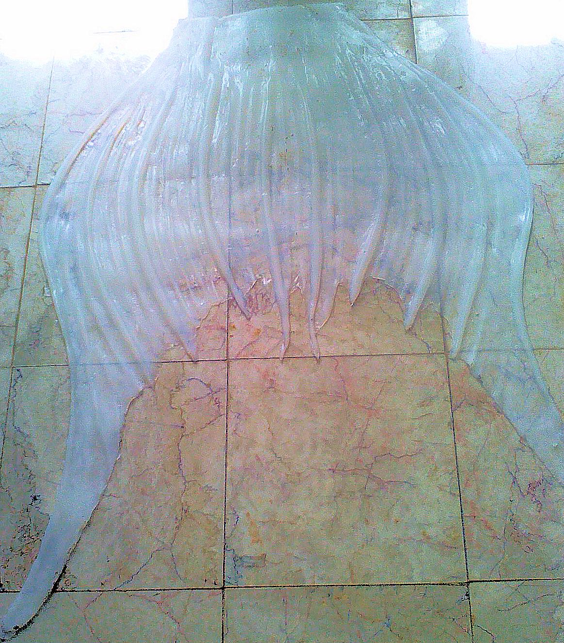 Name:  silicone dragon.jpg
Views: 434
Size:  437.7 KB