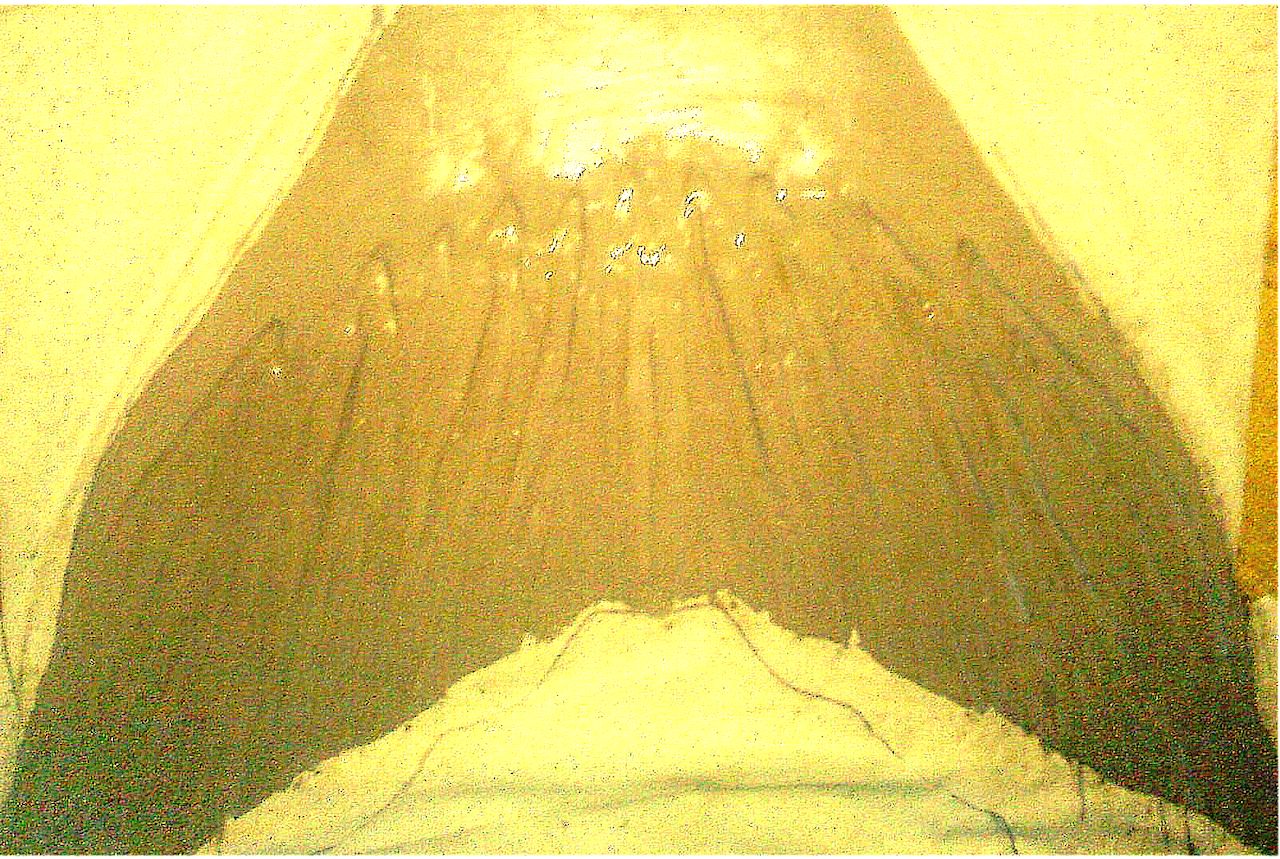 Name:  h202.jpg
Views: 372
Size:  350.1 KB