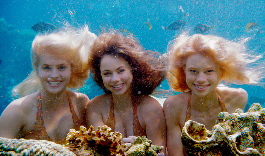 Name:  Mako_Mermaids_Underwater.jpg
Views: 9713
Size:  165.4 KB