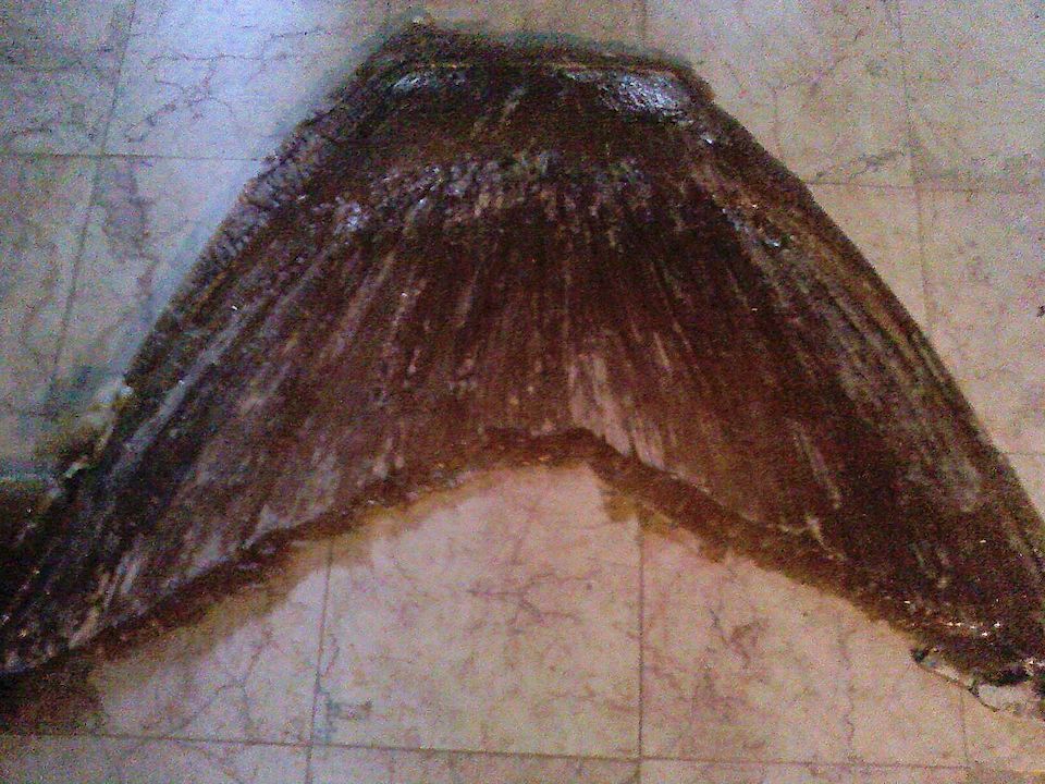 Name:  fish in water fiberglass mold2.jpg
Views: 324
Size:  178.5 KB