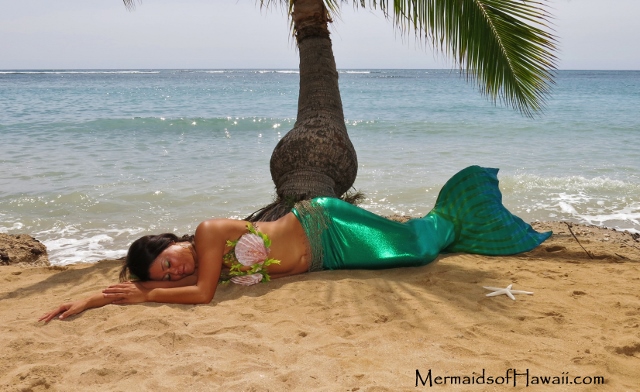 Name:  IMG_2748 (640x392).jpg
Views: 868
Size:  178.6 KB