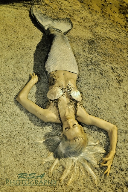 Name:  DSC_0061 (2) (428x640).jpg
Views: 900
Size:  300.8 KB