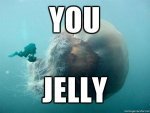 Name:  u-jelly-jellyfish-5rsGEp_center_n2.jpg
Views: 894
Size:  4.6 KB