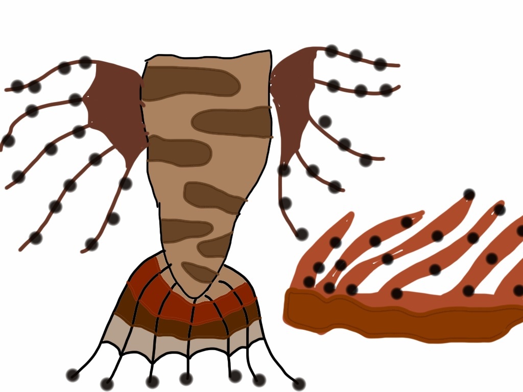 Name:  image.jpg
Views: 661
Size:  115.0 KB