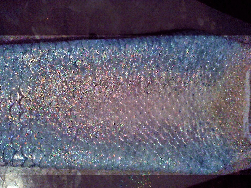 Name:  yulia's front.jpg
Views: 427
Size:  287.3 KB