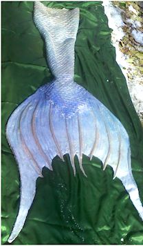 Name:  yul.jpg
Views: 386
Size:  34.4 KB