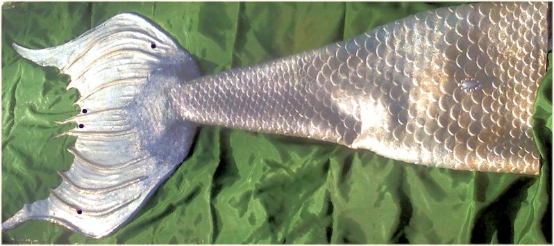 Name:  yuli.jpg
Views: 475
Size:  79.6 KB