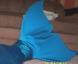 Name:  my mermaid tail 003.JPG
Views: 13857
Size:  14.4 KB