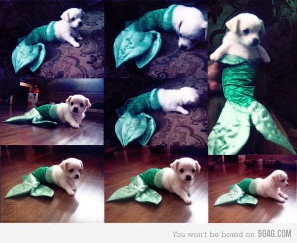 Name:  2683978_700b.jpg
Views: 423
Size:  74.7 KB