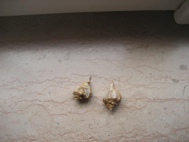 Name:  IMG_8390.jpg
Views: 837
Size:  38.0 KB