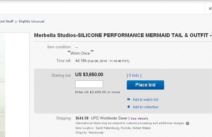 Name:  ebay.JPG
Views: 341
Size:  35.0 KB
