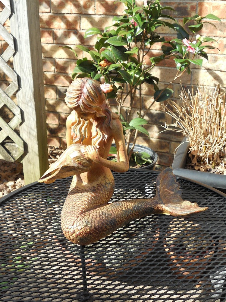 Name:  DSCN2460.JPG
Views: 370
Size:  370.2 KB