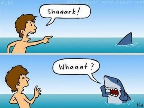 Name:  shaaark.png
Views: 558
Size:  304.8 KB