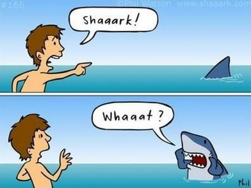 Name:  shaaark.png
Views: 457
Size:  304.8 KB