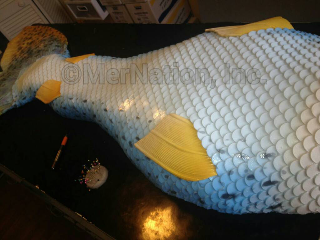 Name:  uploadfromtaptalk1394118673424.jpg
Views: 426
Size:  67.7 KB