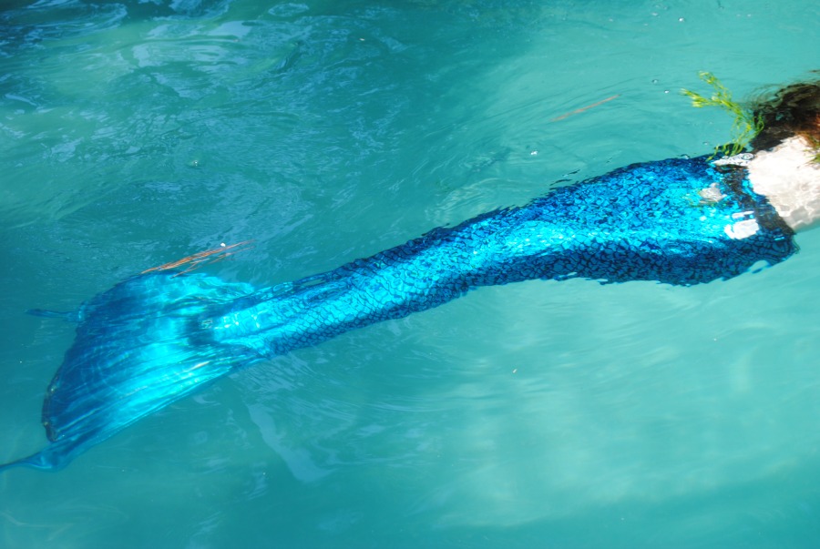Name:  tail2.jpg
Views: 1279
Size:  155.5 KB