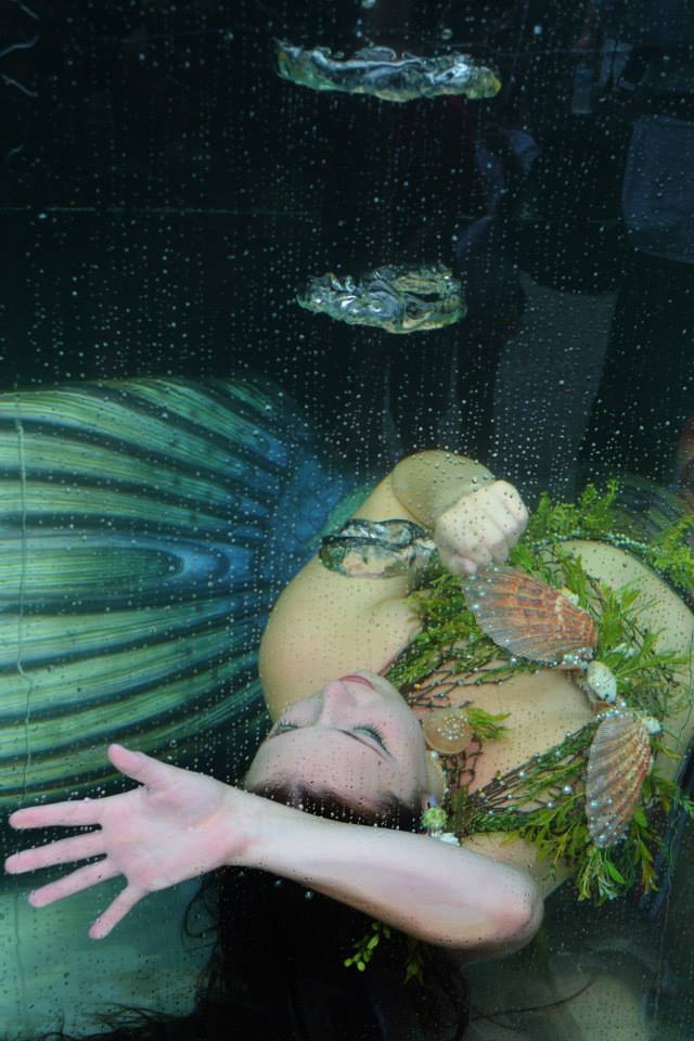 Name:  44712_10153087336360451_262850097_n.jpg
Views: 11191
Size:  77.0 KB