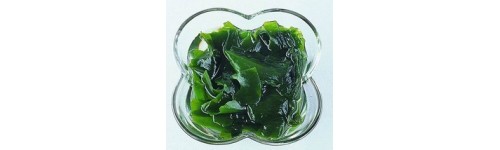 Name:  chungjungwon_seaweed.jpg
Views: 1168
Size:  12.3 KB