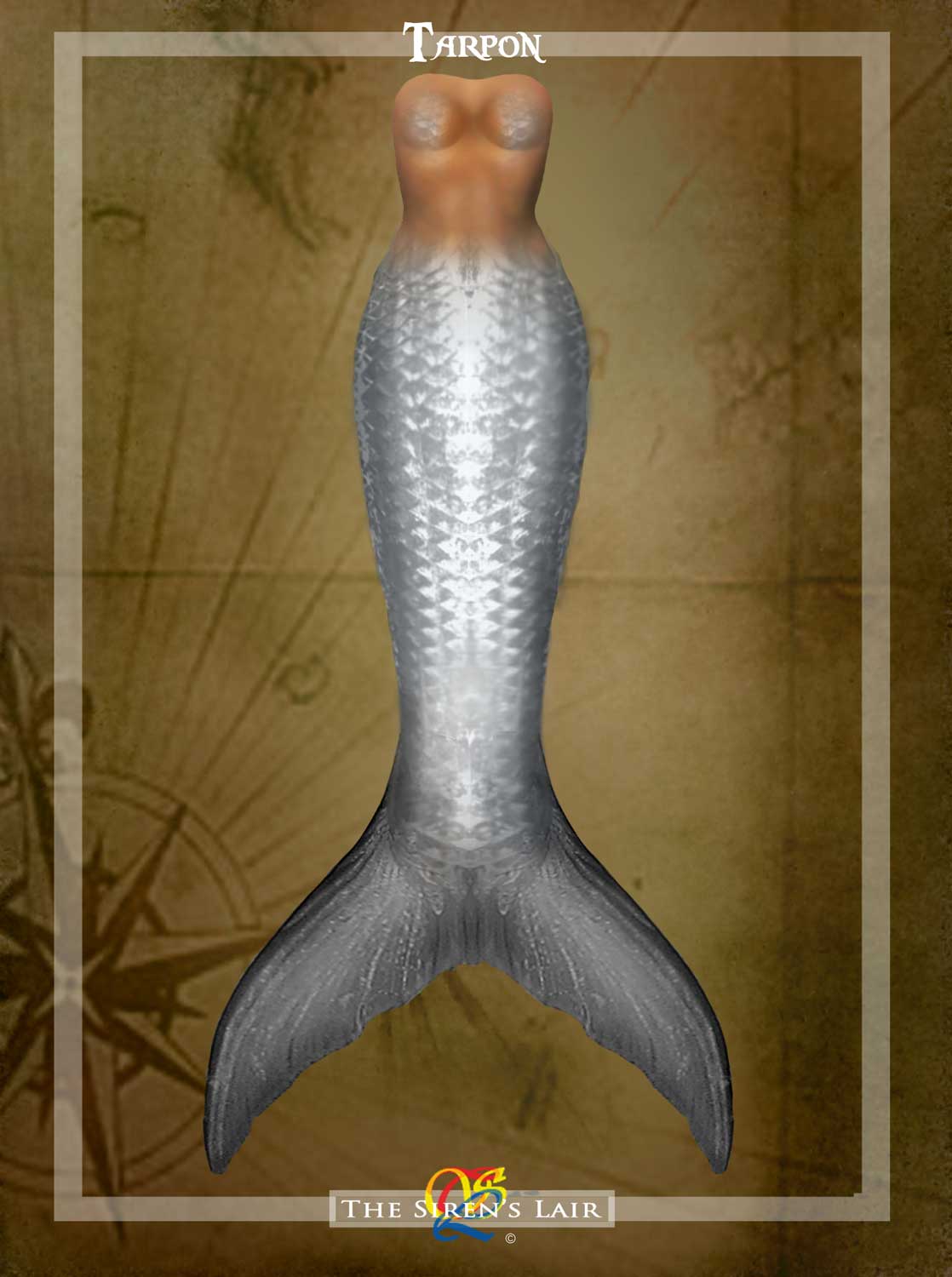 Name:  Tarpon-tail-idea.jpg
Views: 1109
Size:  81.1 KB